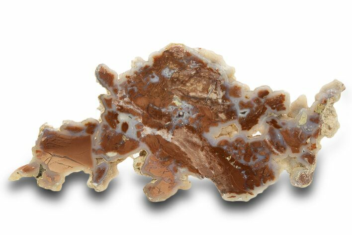 Polished Wyoming Youngite Slab - Fluorescent #334901